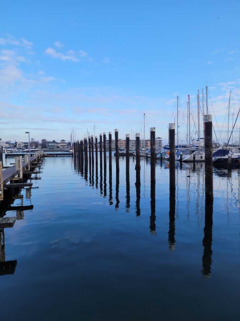 Steigers heliushaven verwijderen